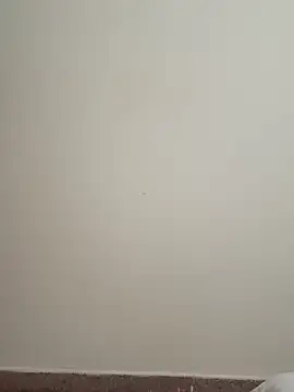 Layali_888