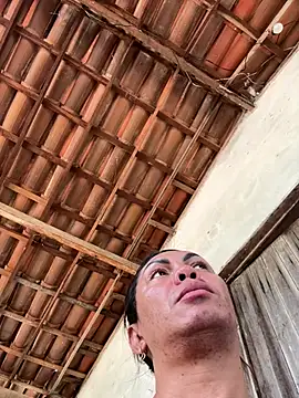 Bellatrans__