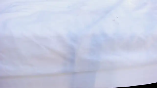 mayaevansmg