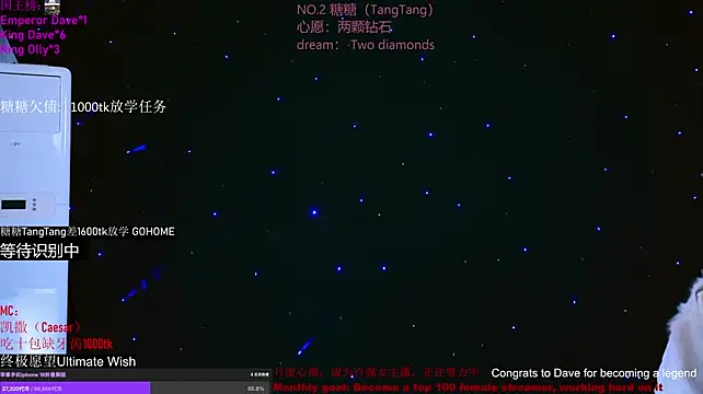 CCTW-100