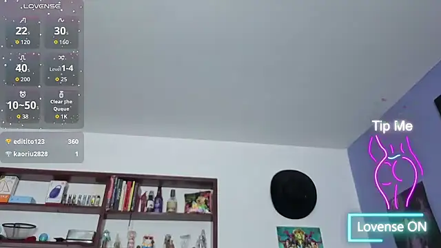 stephania_t