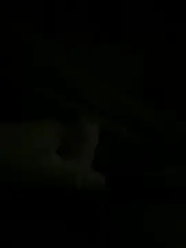 Epapi666