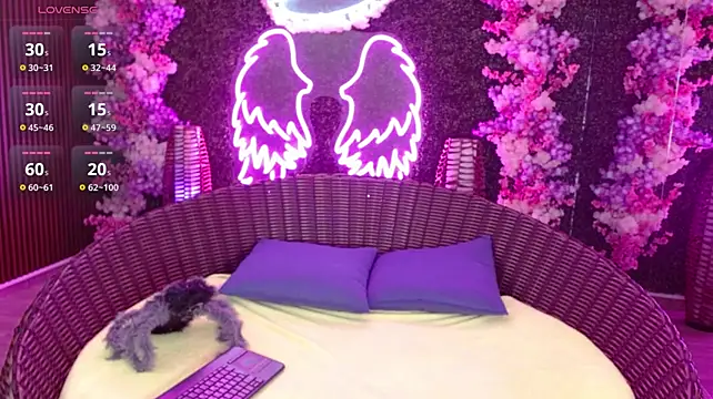 Dolce_violet