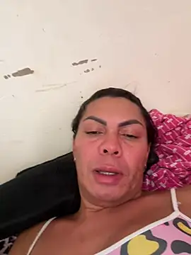Bellatrans__