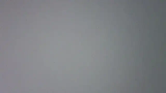 Jessy_Ginger