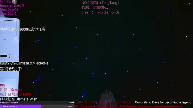 CCTW-100