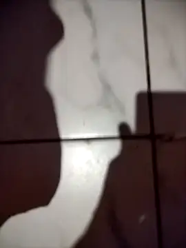 HungGiant live cam on StripChat