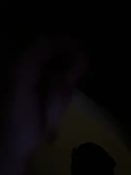 NiftyCaptain3