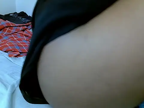 Swt_vixen webcam