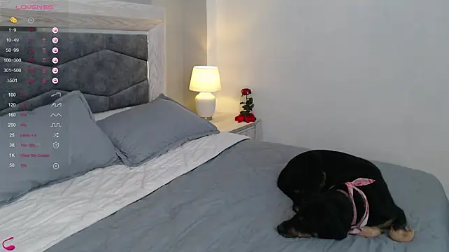 Anita-mora