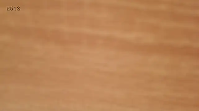 BIGbootyFOXX