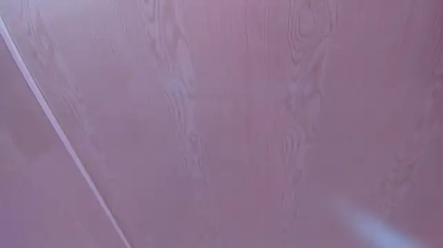 van_angel_