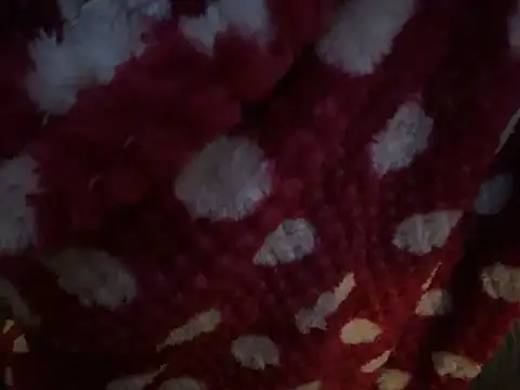 Jaropol live cam preview