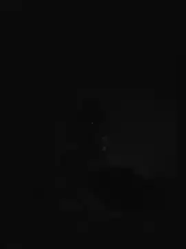 bear8t webcam