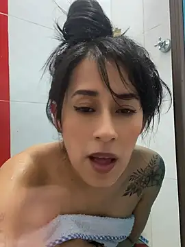 Aria-1212