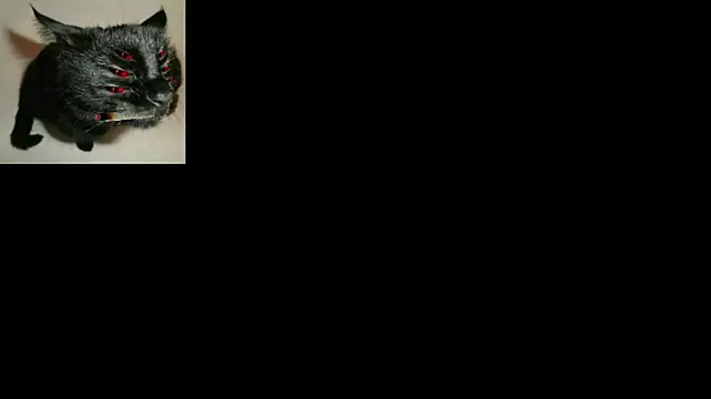linda_mort live