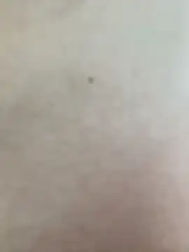 Taylor_Ec