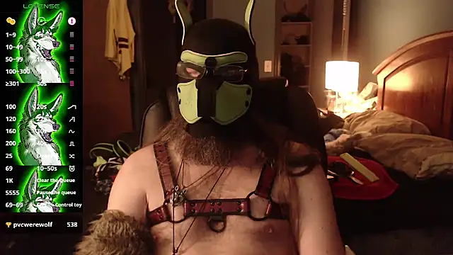 kinkywolf429