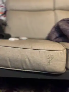 Ldnick69 on Stripchat