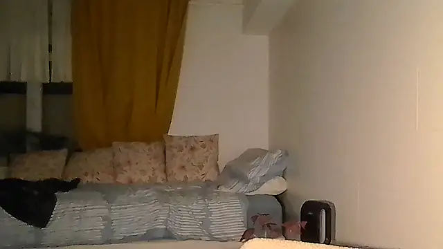 belgianshantie