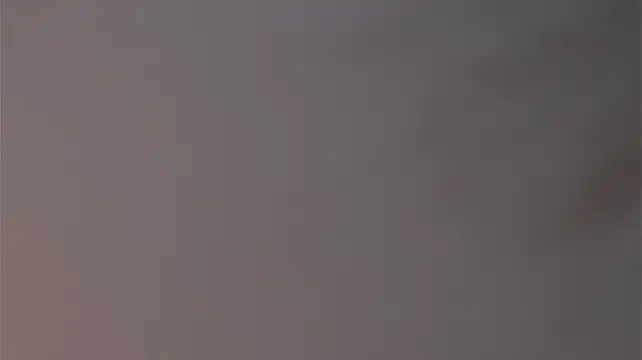 coco_schanel