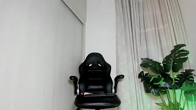 Biscuit_oliva