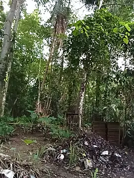 Hiptonos live sex cam
