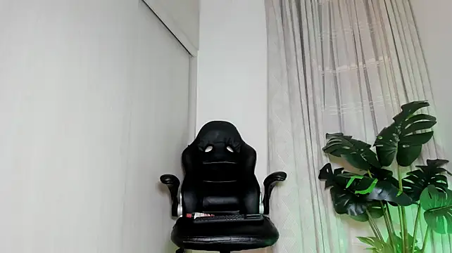 Biscuit_oliva