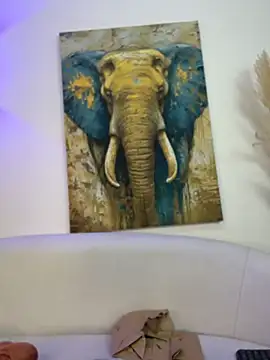 Karim_Nabil