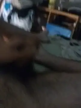 Davileh1o7
