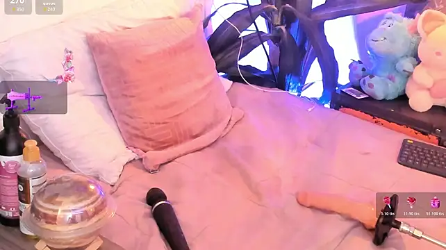 Meg_Stein