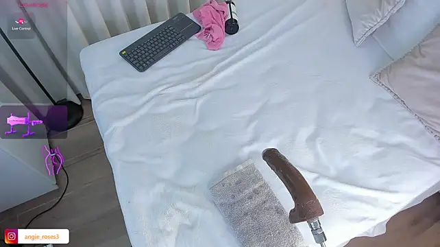 angiee_roses