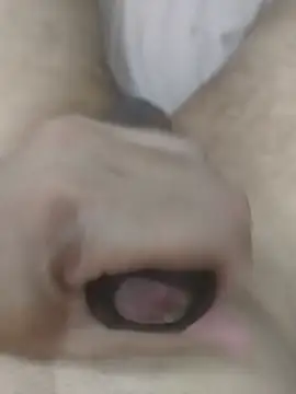 MalditoModelo