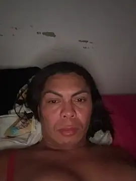 Bellatrans__