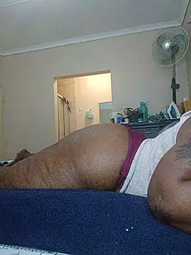 curvybigAssxx
