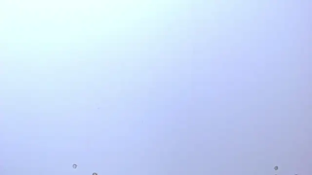 PatrickHard_