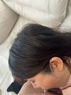 Domi-520