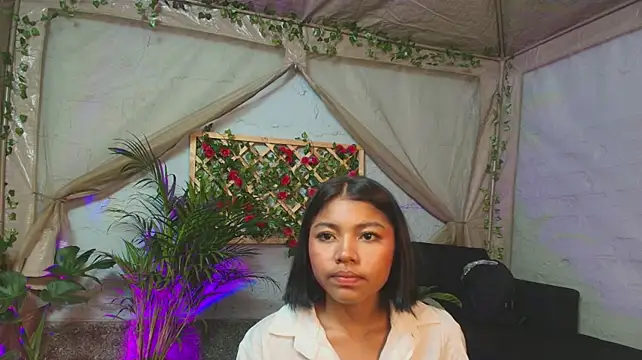 Ari_stone