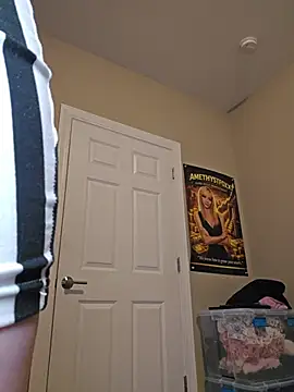AmethystFoxx