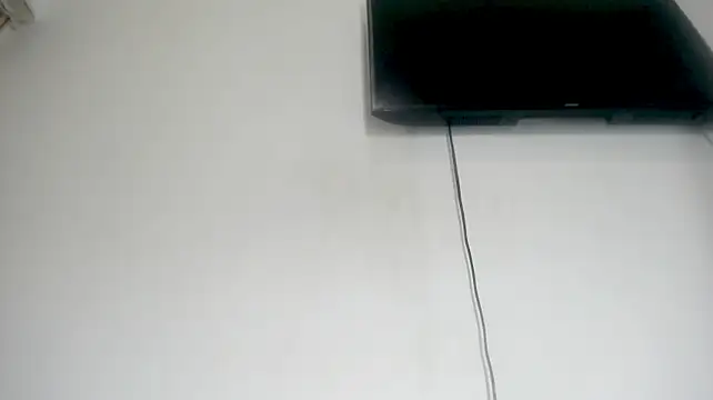 Fox_Loves