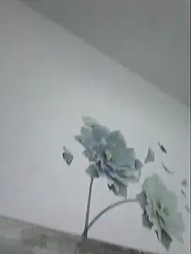 JJBB4616