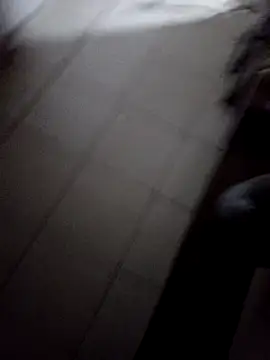 userbrasil12345
