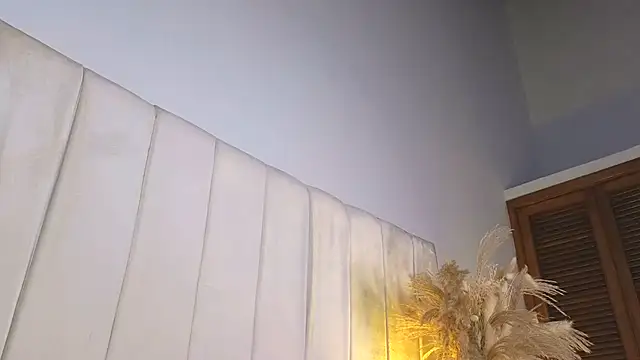 Isabella_falcon