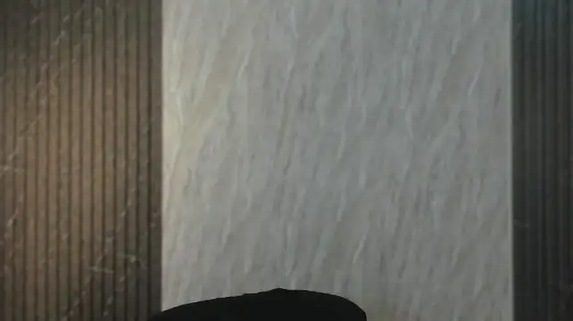 thesituationsj