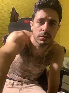 Housebalifans