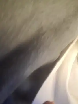 koolbend
