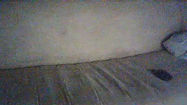 Amore_nero live cam on StripChat