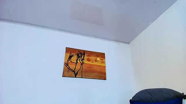 Andrewstelle_coleman webcam