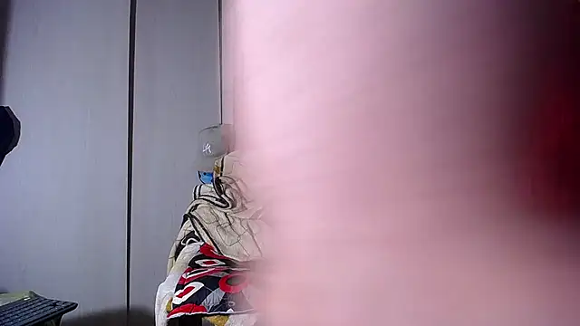 damn_fox