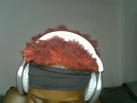 Queennmodell